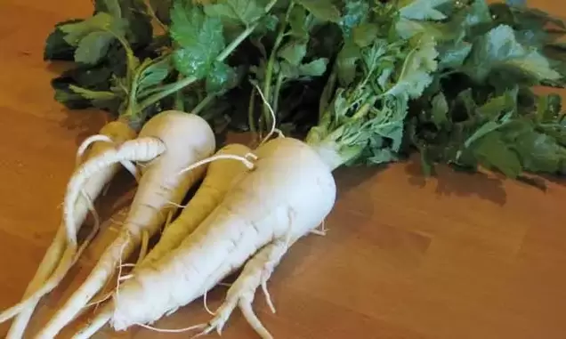 Using parsnip root as a spice can increase potency. 